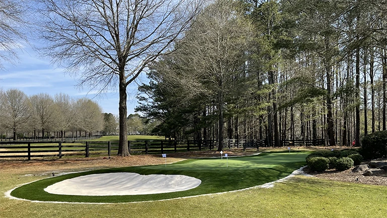Custom-designed putting greens installed in Atlanta homes, featuring professional-grade synthetic grass for a true golfing experience.